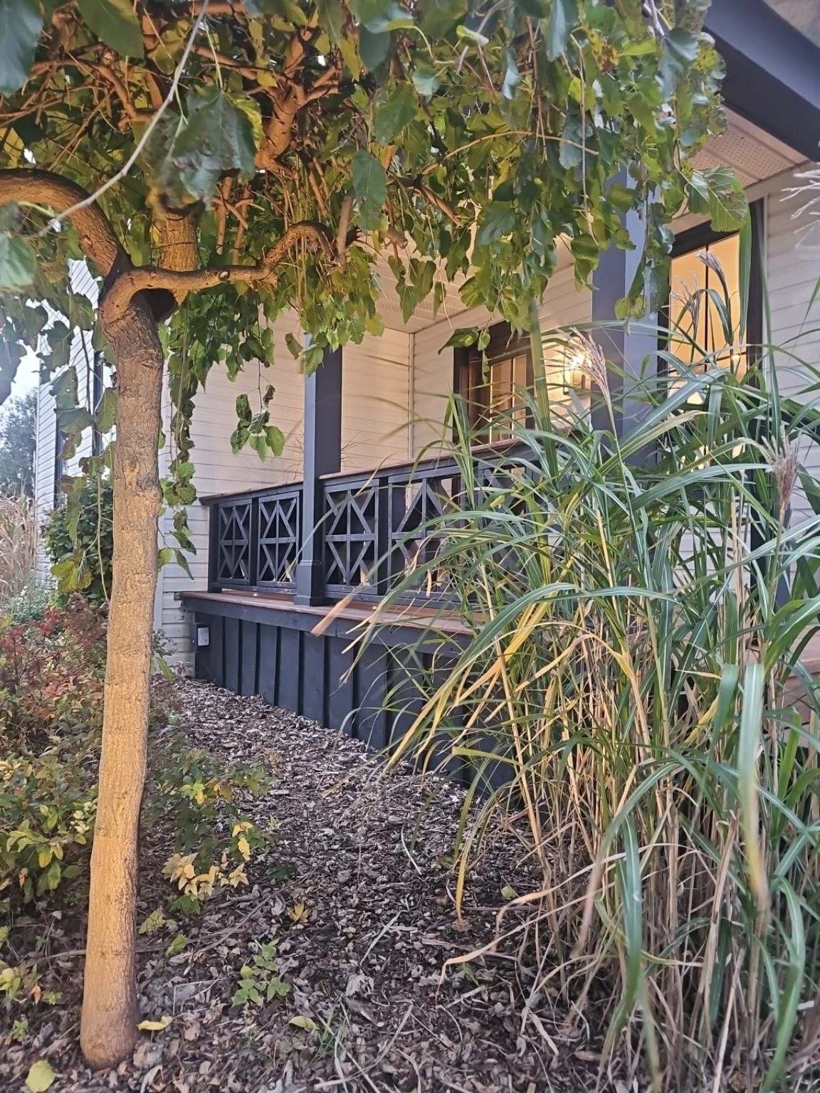 Porch garden with warm window light