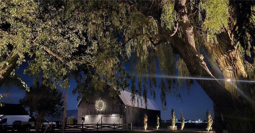 Willows and lit barn at night