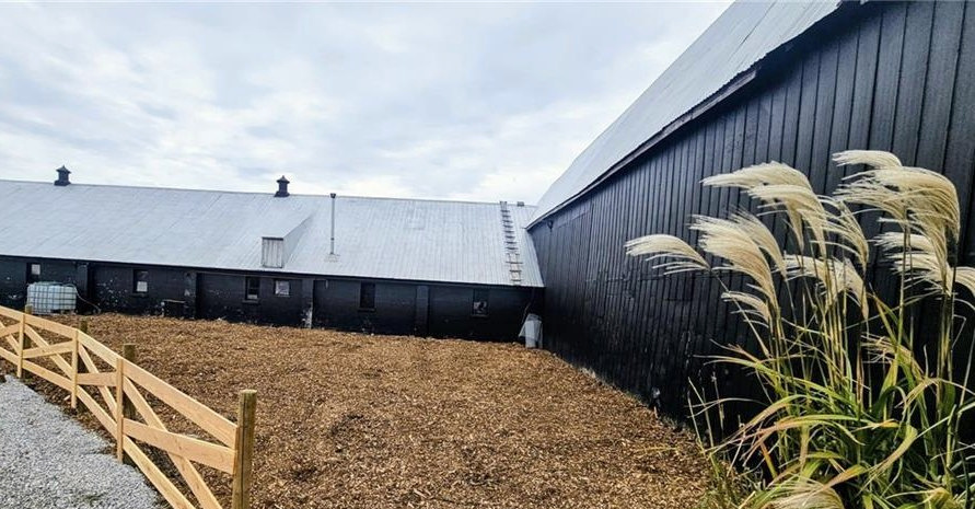 Paddock beside the workshop buildings