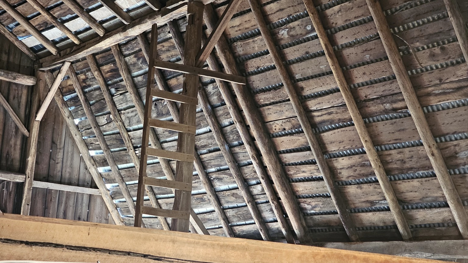 Wooden ladder rising into the barn rafters